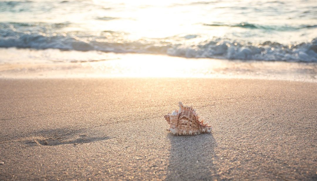 26. januar 2026: Neptun vstopi v Ovna