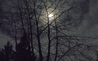 3. januar 2026: Polna Luna v Raku